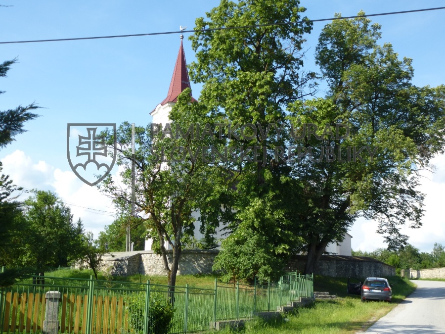 Identifikačná fotografia